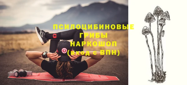 эйфоретик Алексеевка