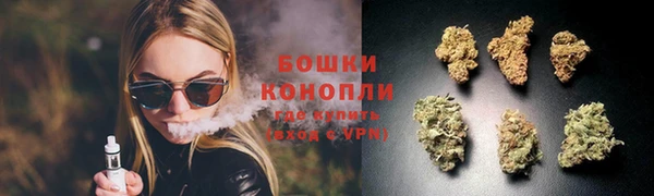 сатива Абинск