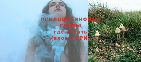 эйфоретик Алексеевка