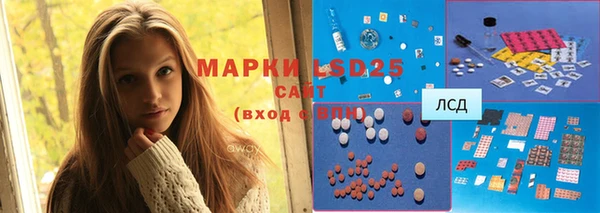 прущие грибы Алзамай
