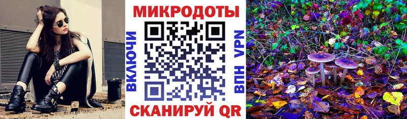 купить наркотики цена Вышний Волочёк Псилоцибиновые грибы GOLDEN TEACHER